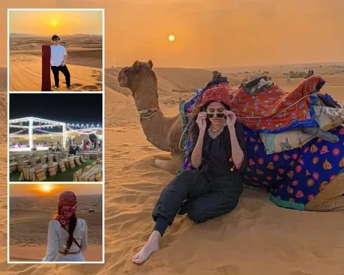 Desert Camel Safari Dubai